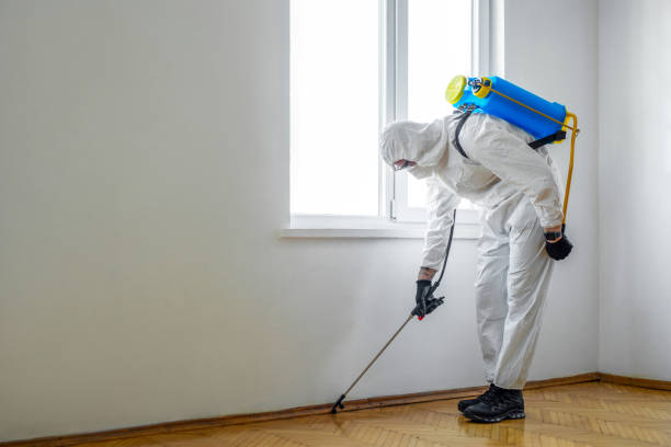 Reliable Alpine, NJ Pest Control Solutions