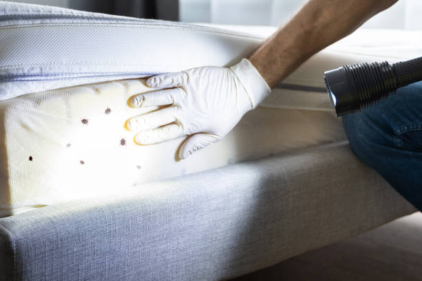Best Pest Removal Services  in Alpine, NJ