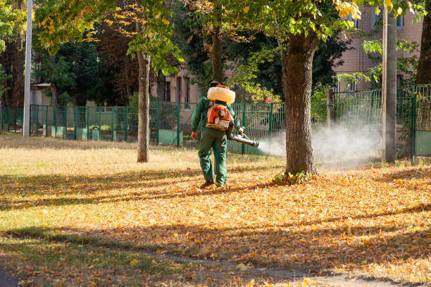 Best Residential Pest Control  in Alpine, NJ